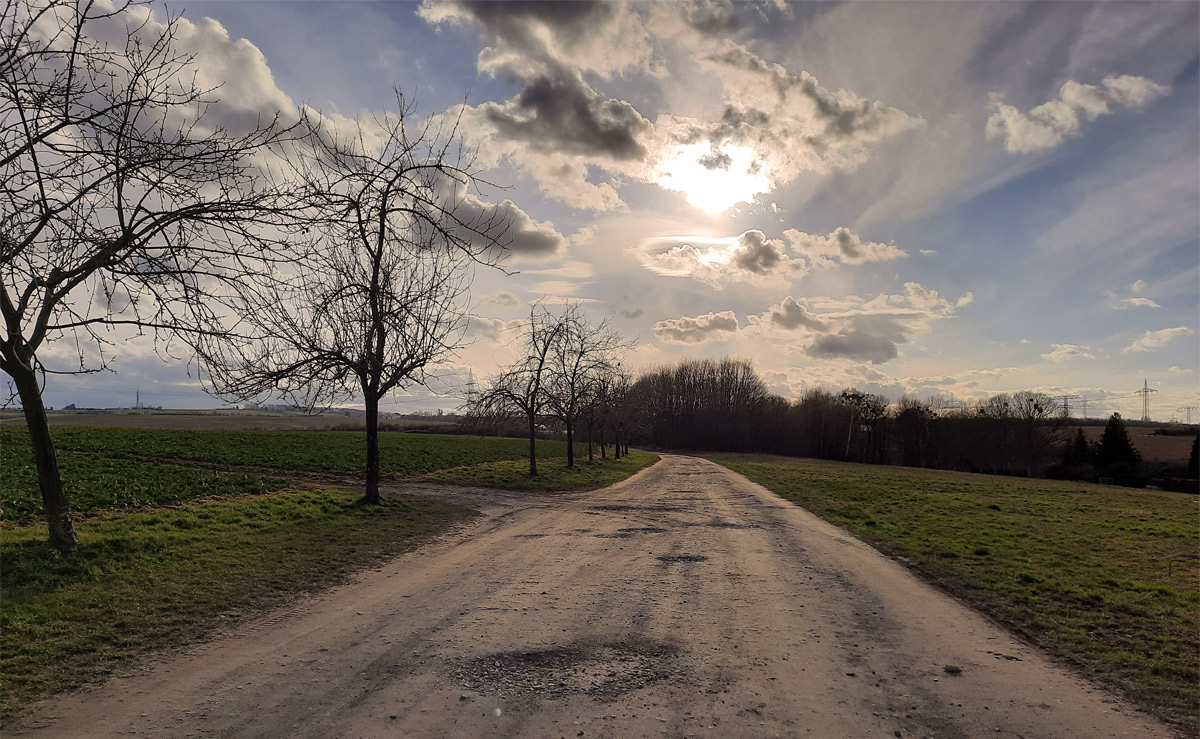 MIRO-Noch-nicht-Frühling